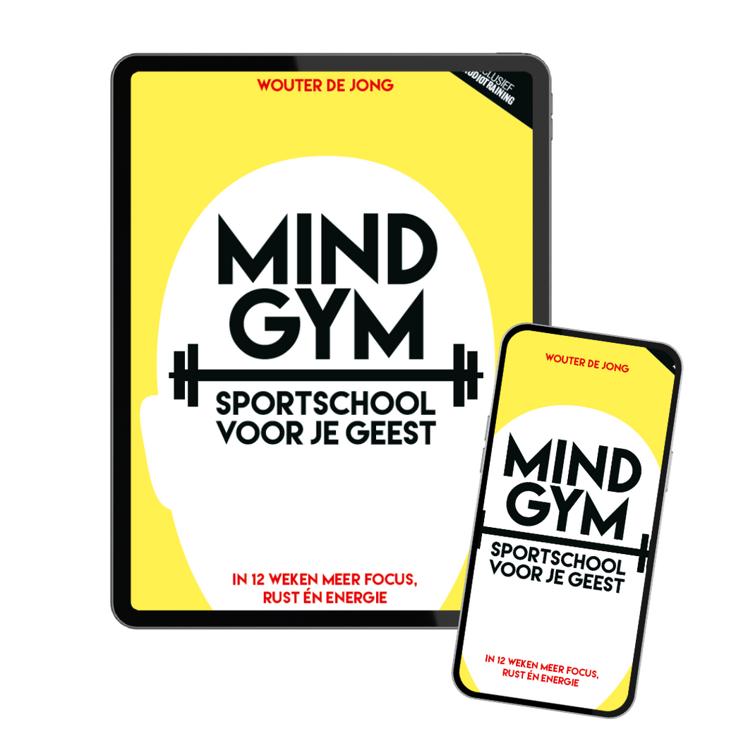 E-book Mindgym: Sportschool voor je geest